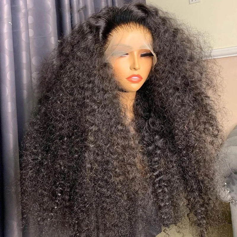 Lace Front Curly Human Hair Wig